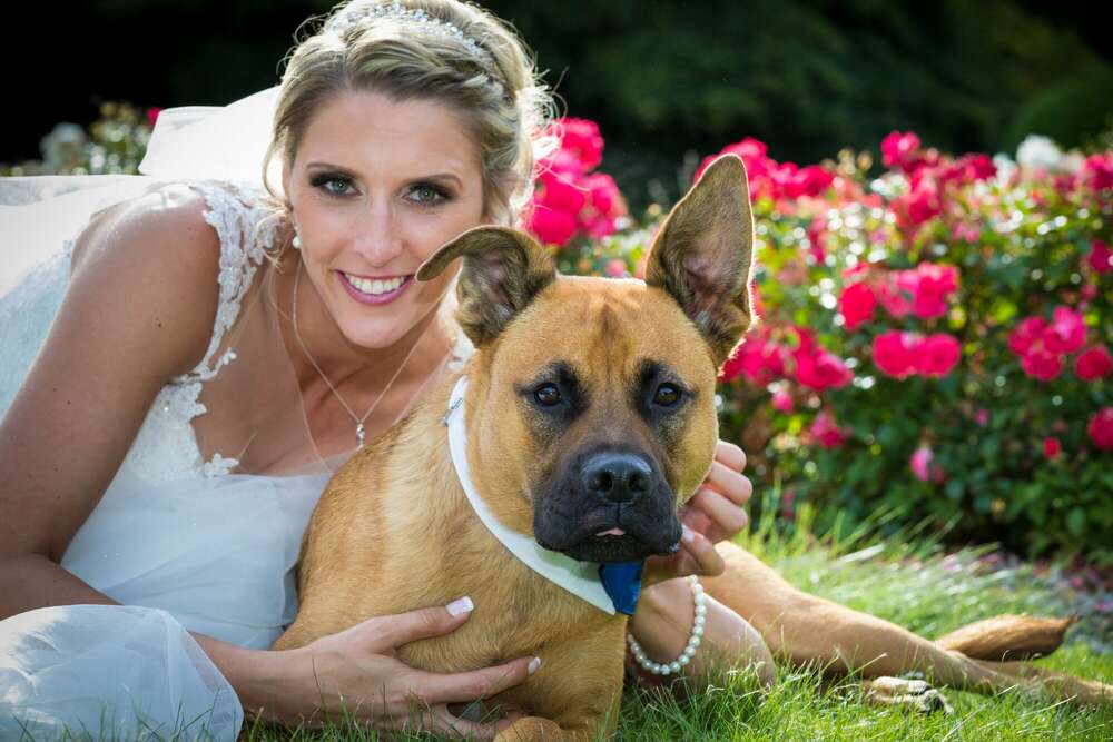 Hochzeitsfotografie (MD-FotoMomente)