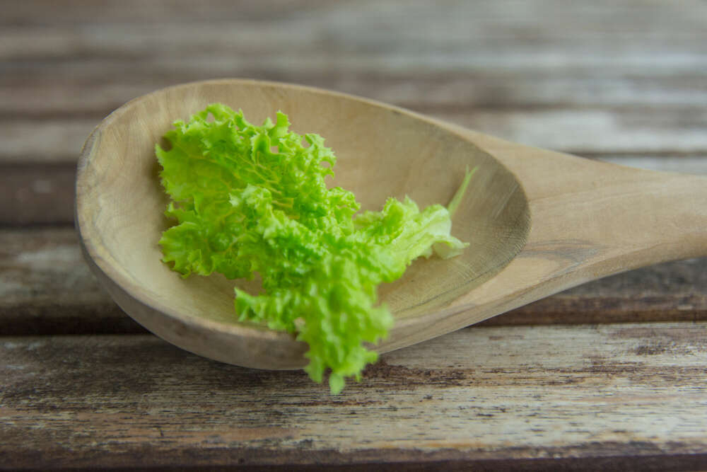 Oberheide und Schmidt GbR (Oberheide und Schmidt GbR)