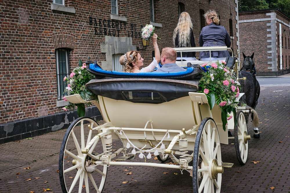 picture-area® (picture-area®)