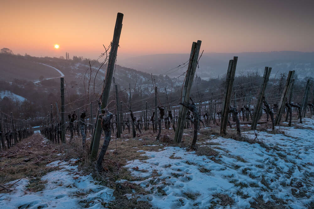 Weinberg im Winter (Bernd Schmidt)