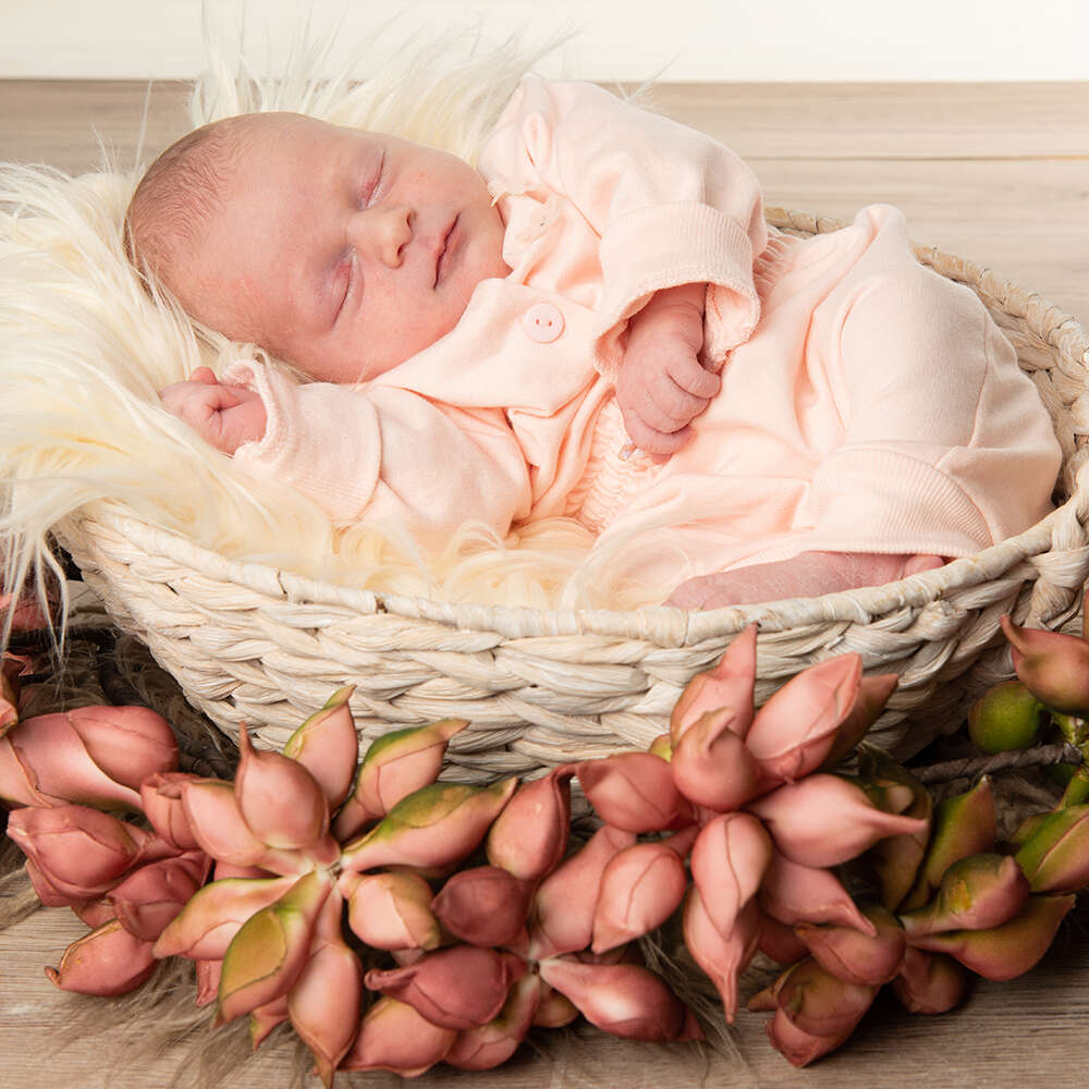 Newborn (Romy Scheck Fotografie)
