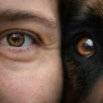 Hundefotografin München - Sylvie Zollinger