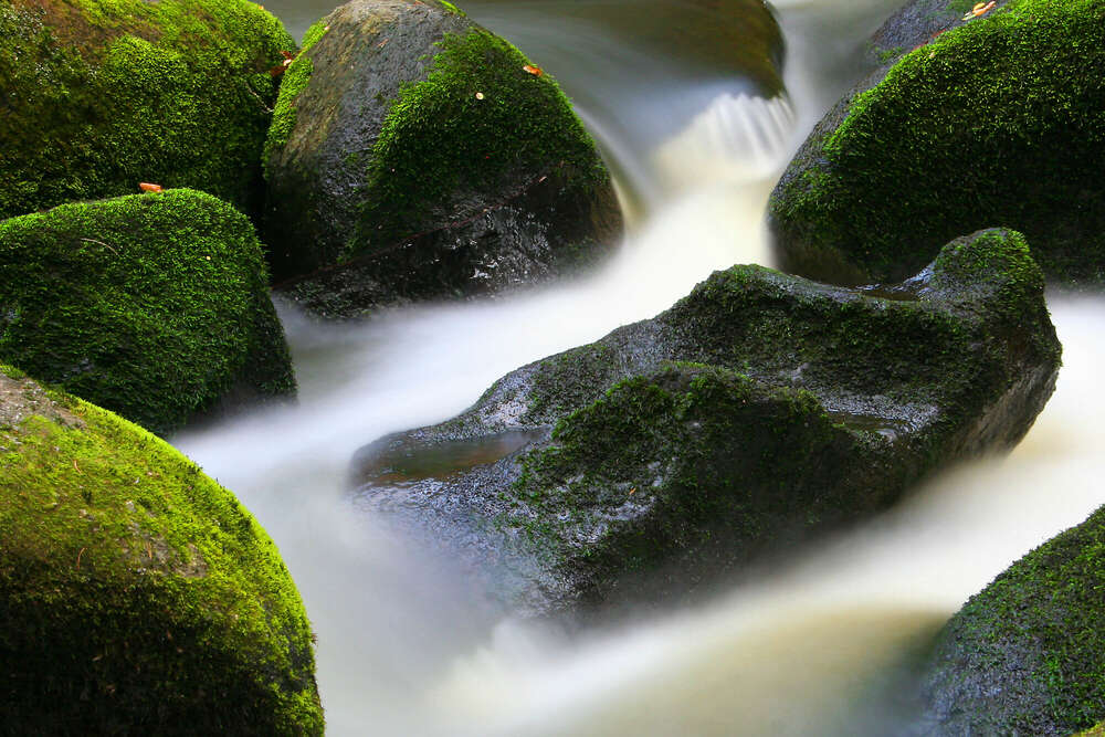 Butterfass Waldnaabtal (MK Lichtbild)