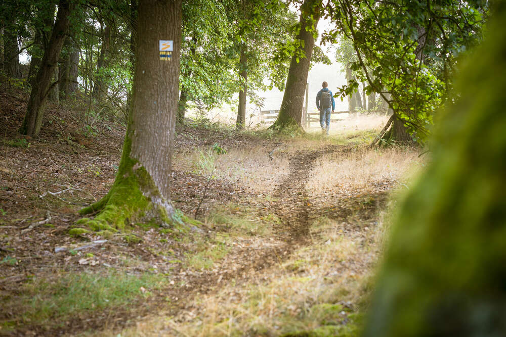 Wanderweg (MK Lichtbild)