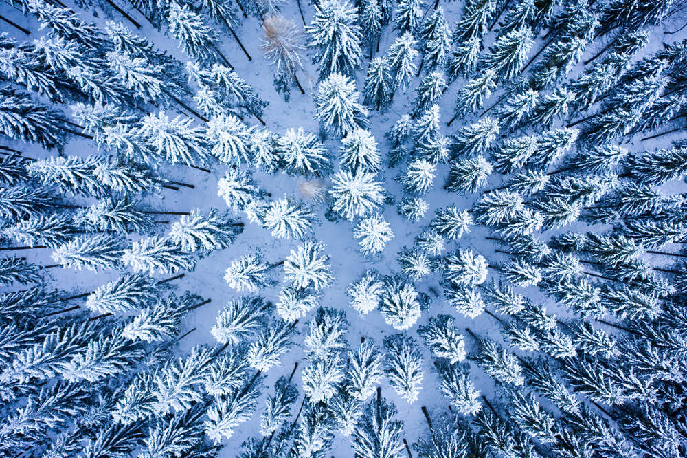 Drohnenaufnahme Landschaft (MK Lichtbild)