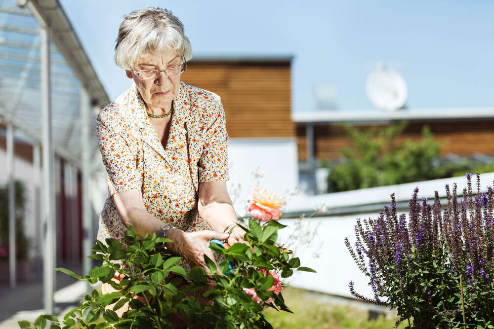 Fotograf Markus Lehr (Fotograf Markus Lehr)