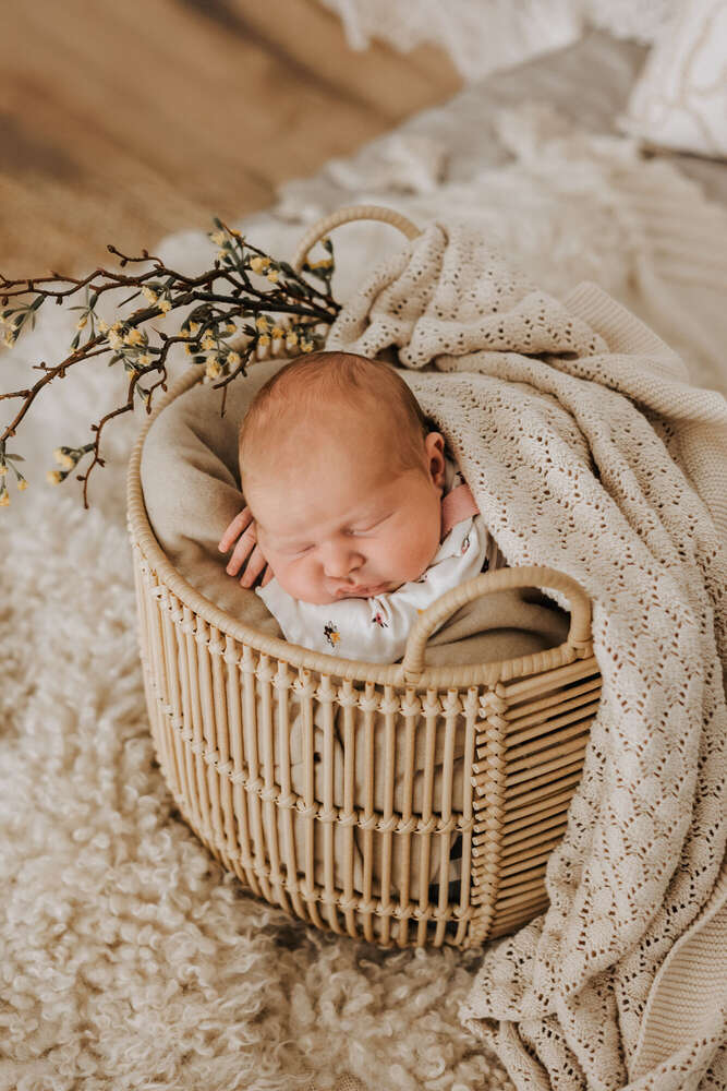 FrolleinAlex Fotografie