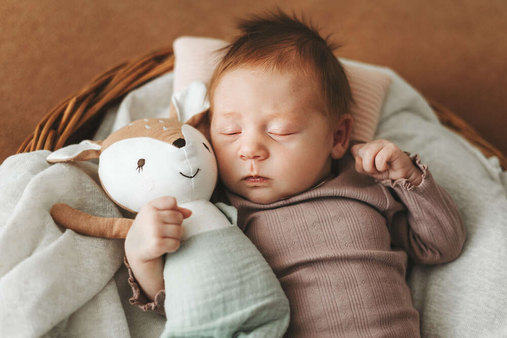 FrolleinAlex Fotografie