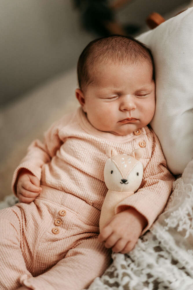 FrolleinAlex Fotografie