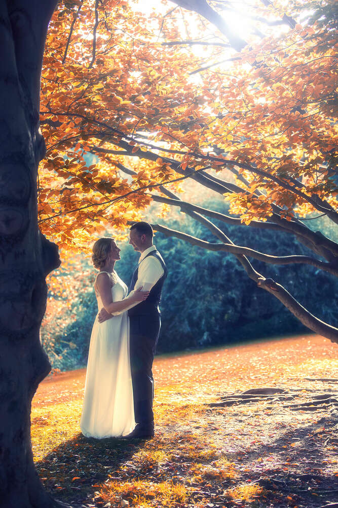 Pedram Photography (Pedram Photography)