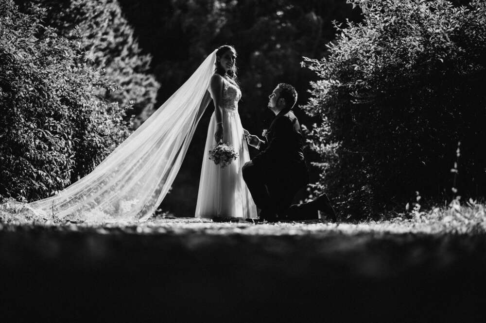 André Bakalorz Fotografie (André Bakalorz Fotografie)