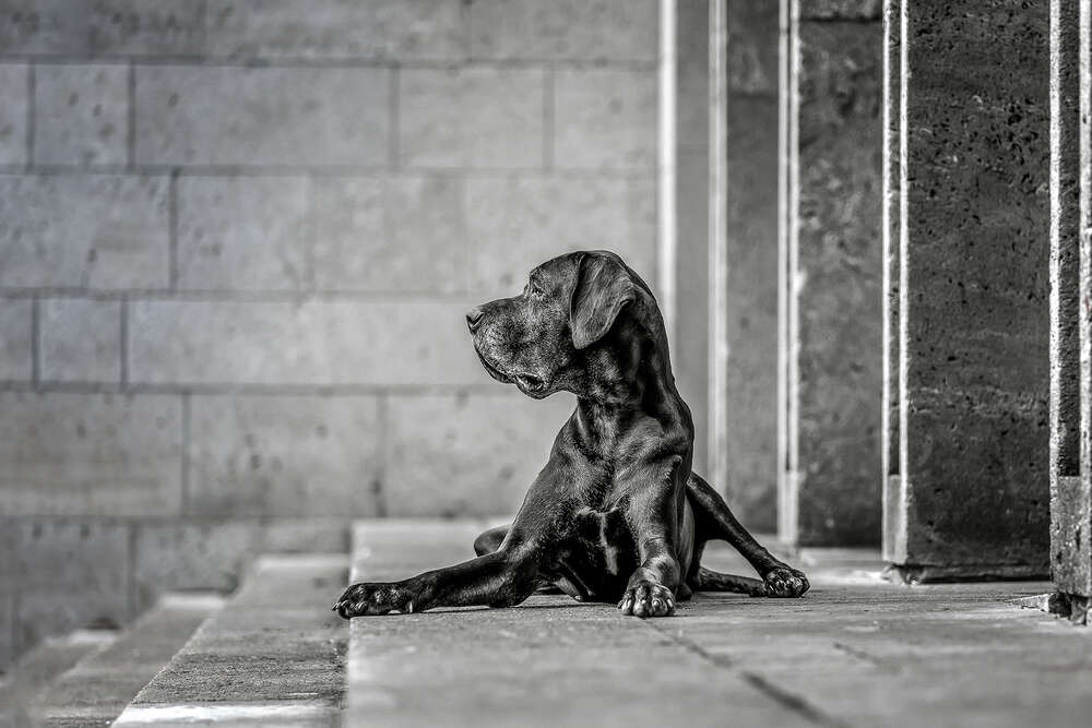 Markus Heber Photography (Markus Heber Photography)