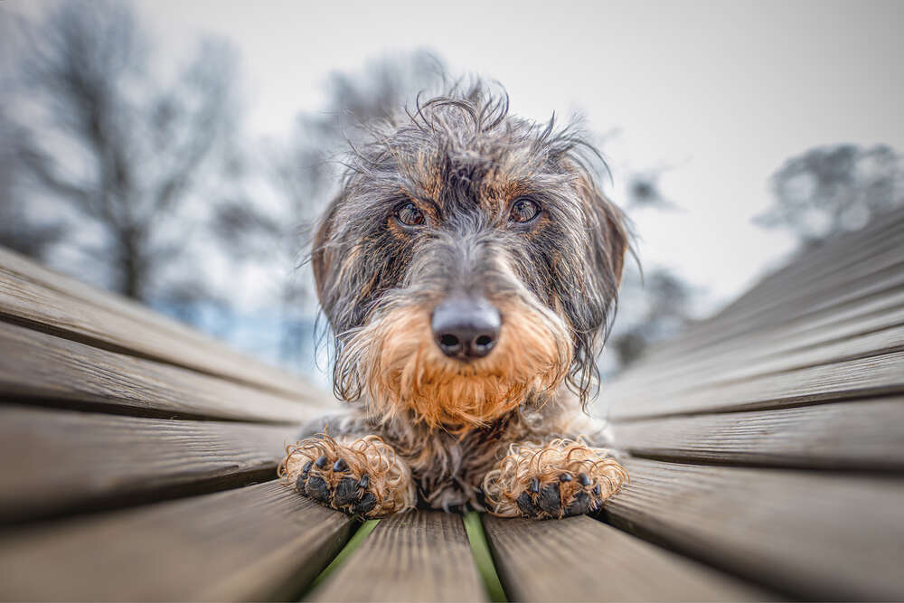 Markus Heber Photography (Markus Heber Photography)