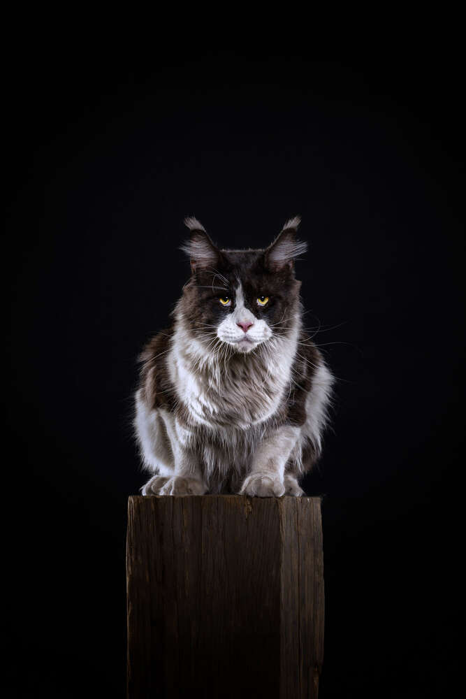 Markus Heber Photography (Markus Heber Photography)