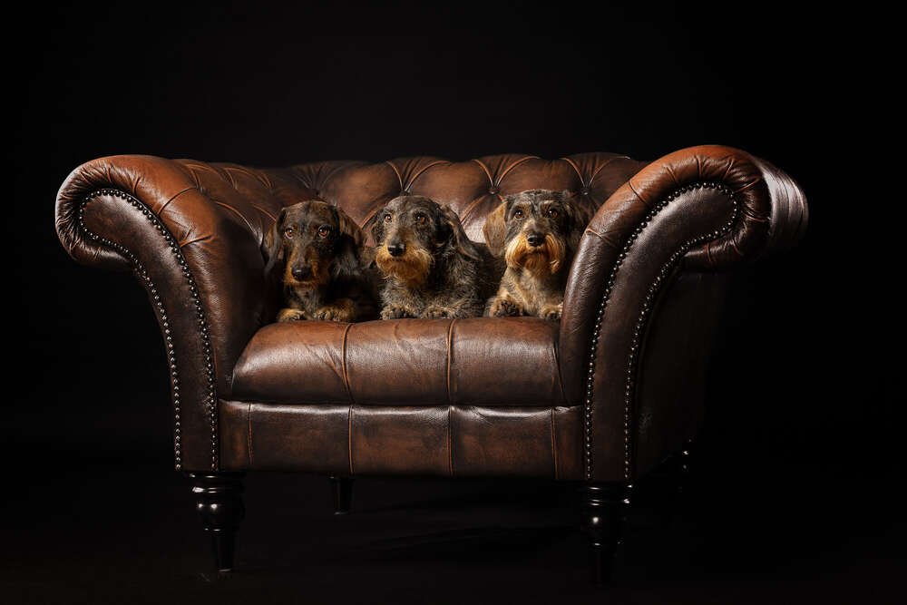Markus Heber Photography (Markus Heber Photography)
