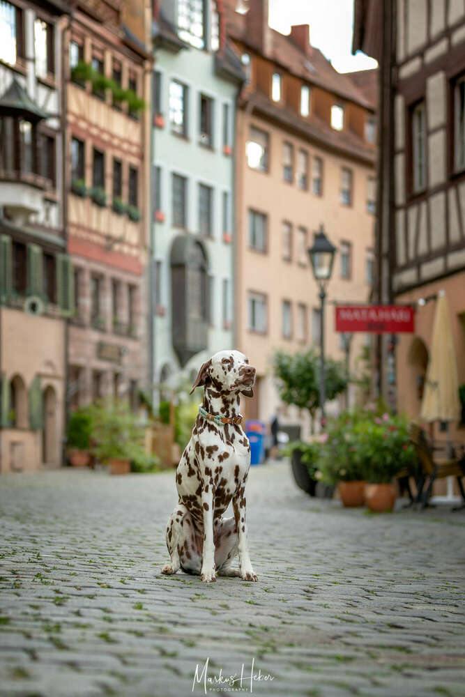 Markus Heber Photography