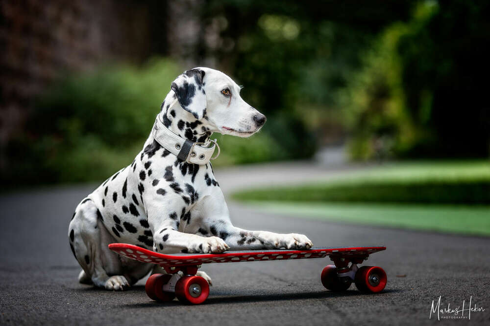 Markus Heber Photography