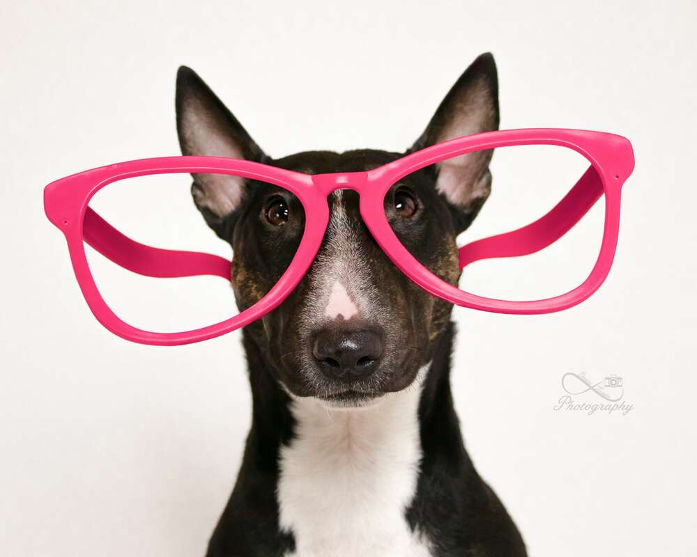 Gesucht? Gefunden! (De.L_Photography)