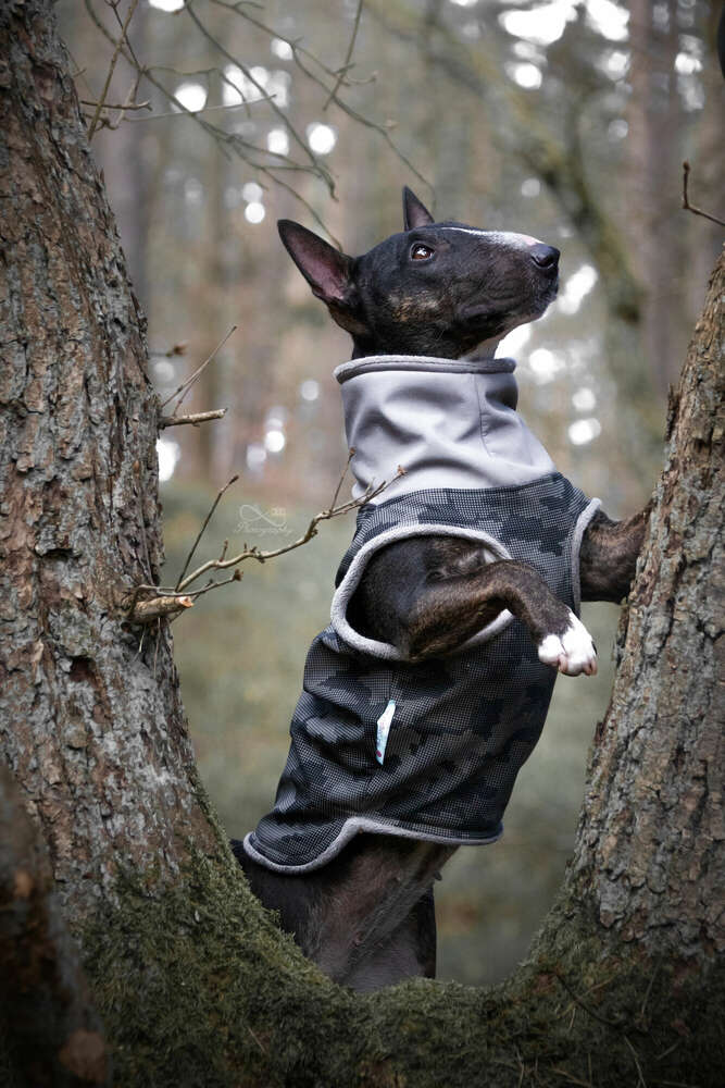 De.L_Photography (De.L_Photography)