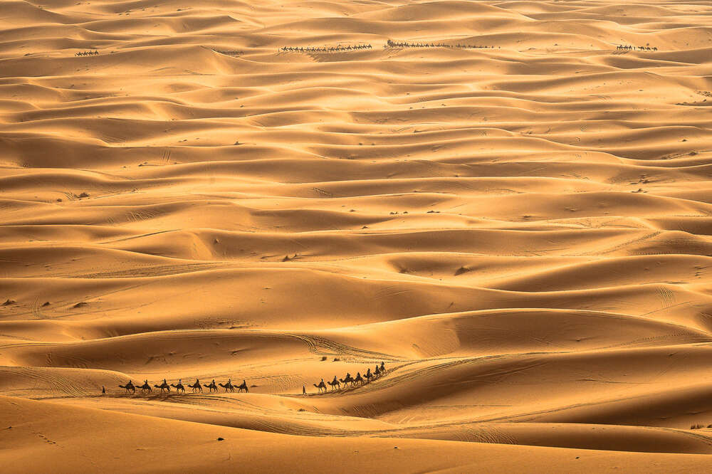 Bettina Meister - Fotografie