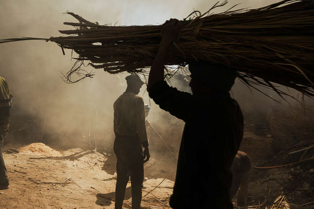 Bettina Meister - Fotografie