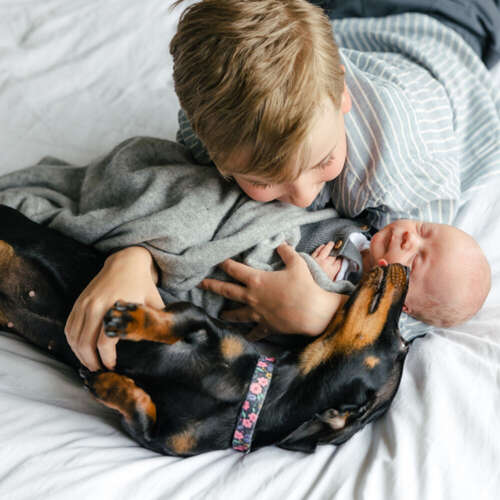 Ira Baum Fotografie - Ira Baum aus Frankfurt