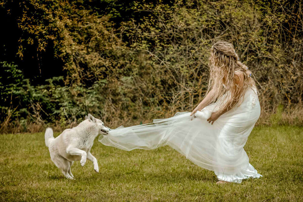 Hund beißt ins Brautkleid (the best wedding ever - Hochzeitsfotograf)