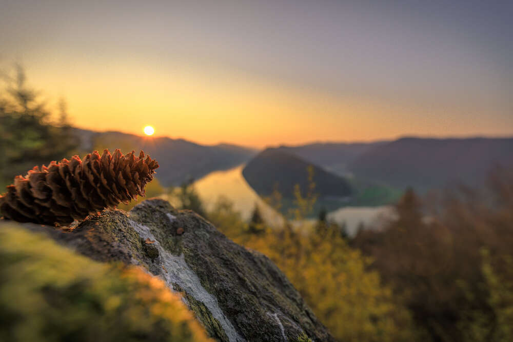 Daniel Fenzl Photography