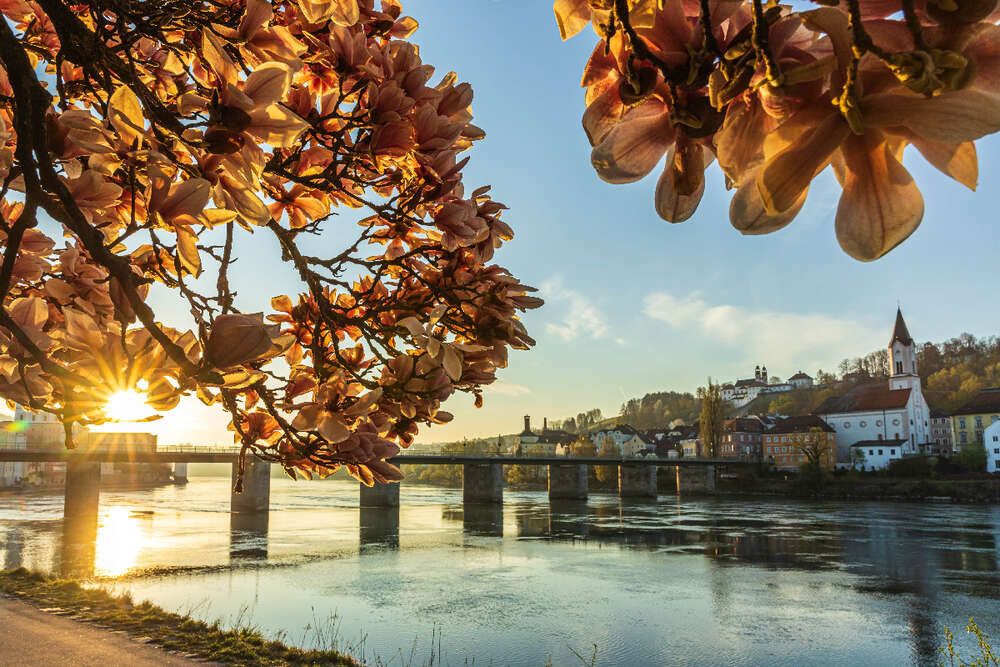 Daniel Fenzl Photography