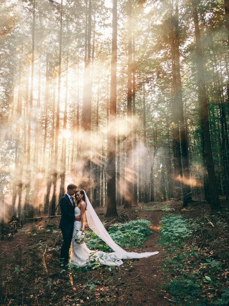 MOMENTS Hochzeitsvideos & Fotos