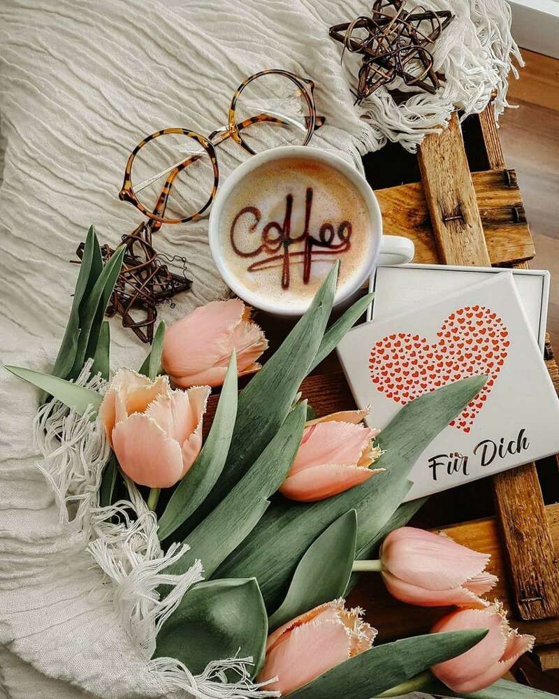 Fotograf in Hanau Iryna Korenkova