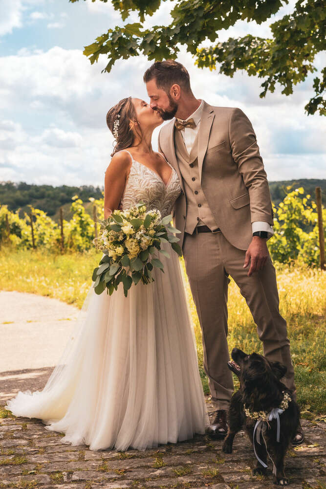 Holger F. Schmidt Fotografie (Holger F. Schmidt Fotografie)