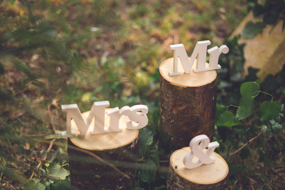 Wedding Dreamz (Wedding Dreamz)