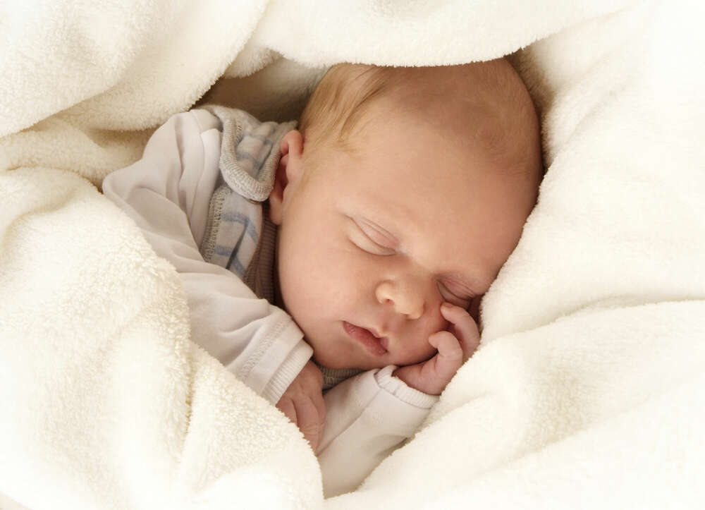 Foto Forstmeyer (Foto Forstmeyer)