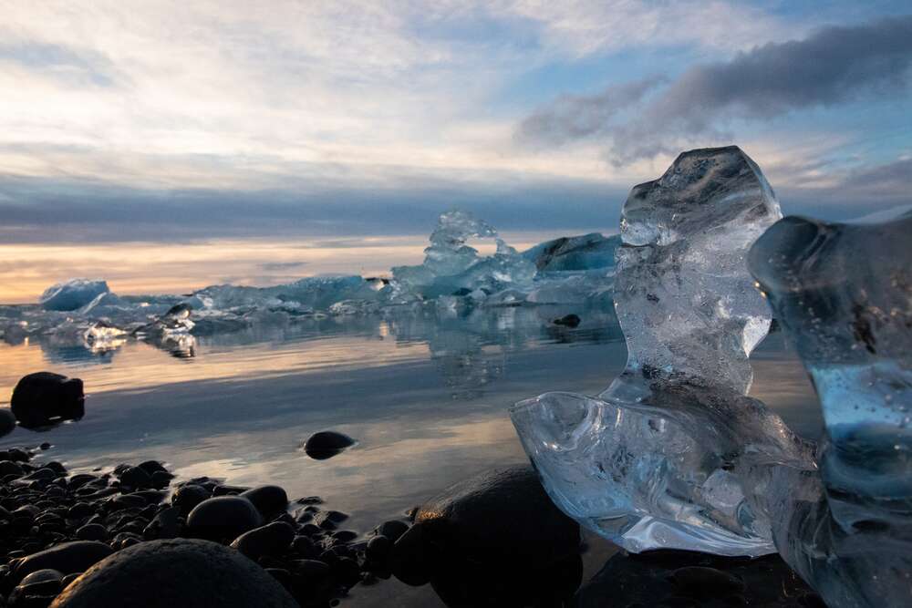 Danni Arndt Photography