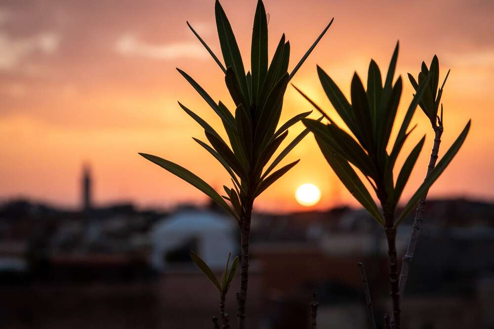 Danni Arndt Photography