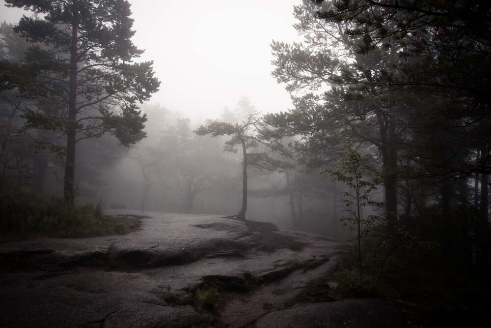 Danni Arndt Photography