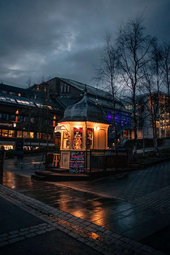 Danni Arndt Photography