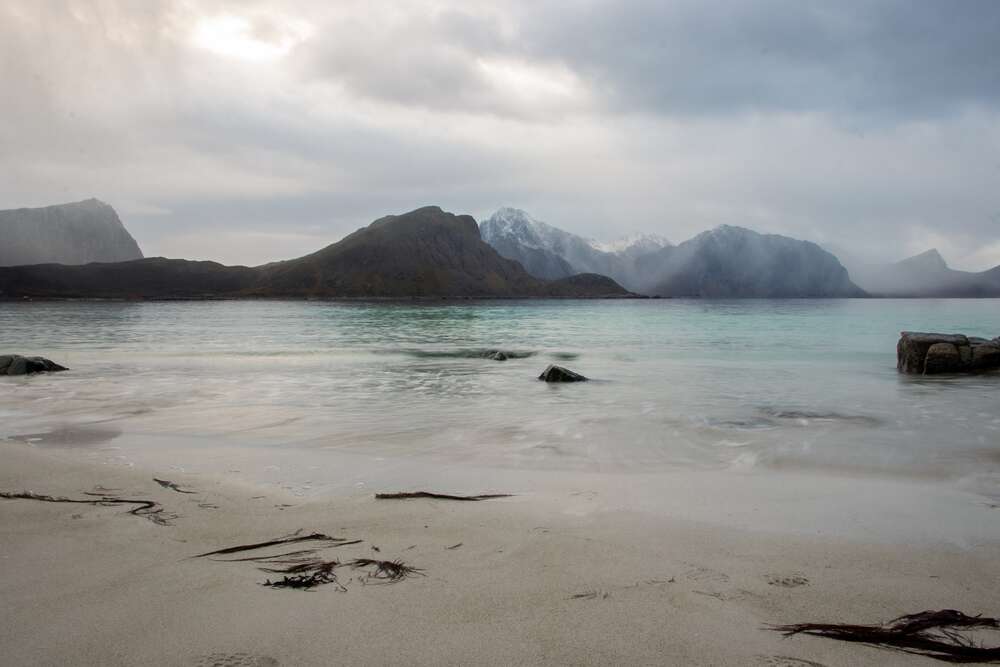 Danni Arndt Photography