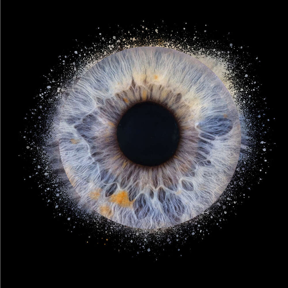 Irisfoto (Foto-Studio Penz oHG)