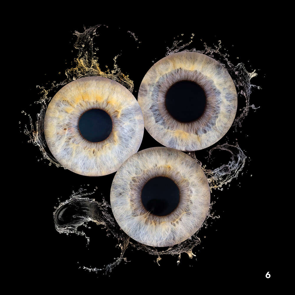 Foto-Studio Penz oHG