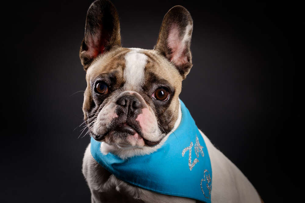 Zoe (Foto-Studio Penz oHG)