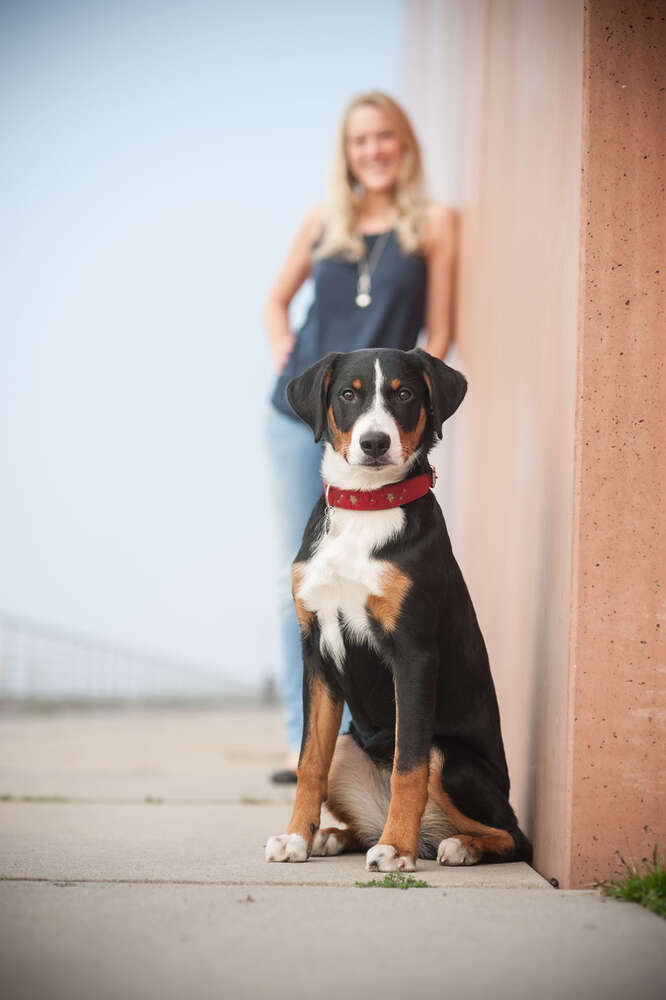 Mein Hund (Foto-Studio Penz oHG)