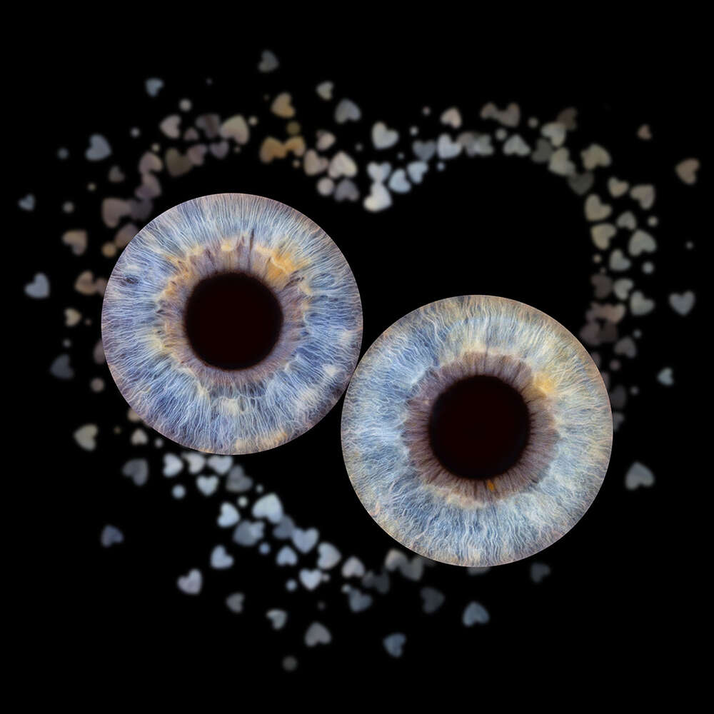 Foto-Studio Penz oHG