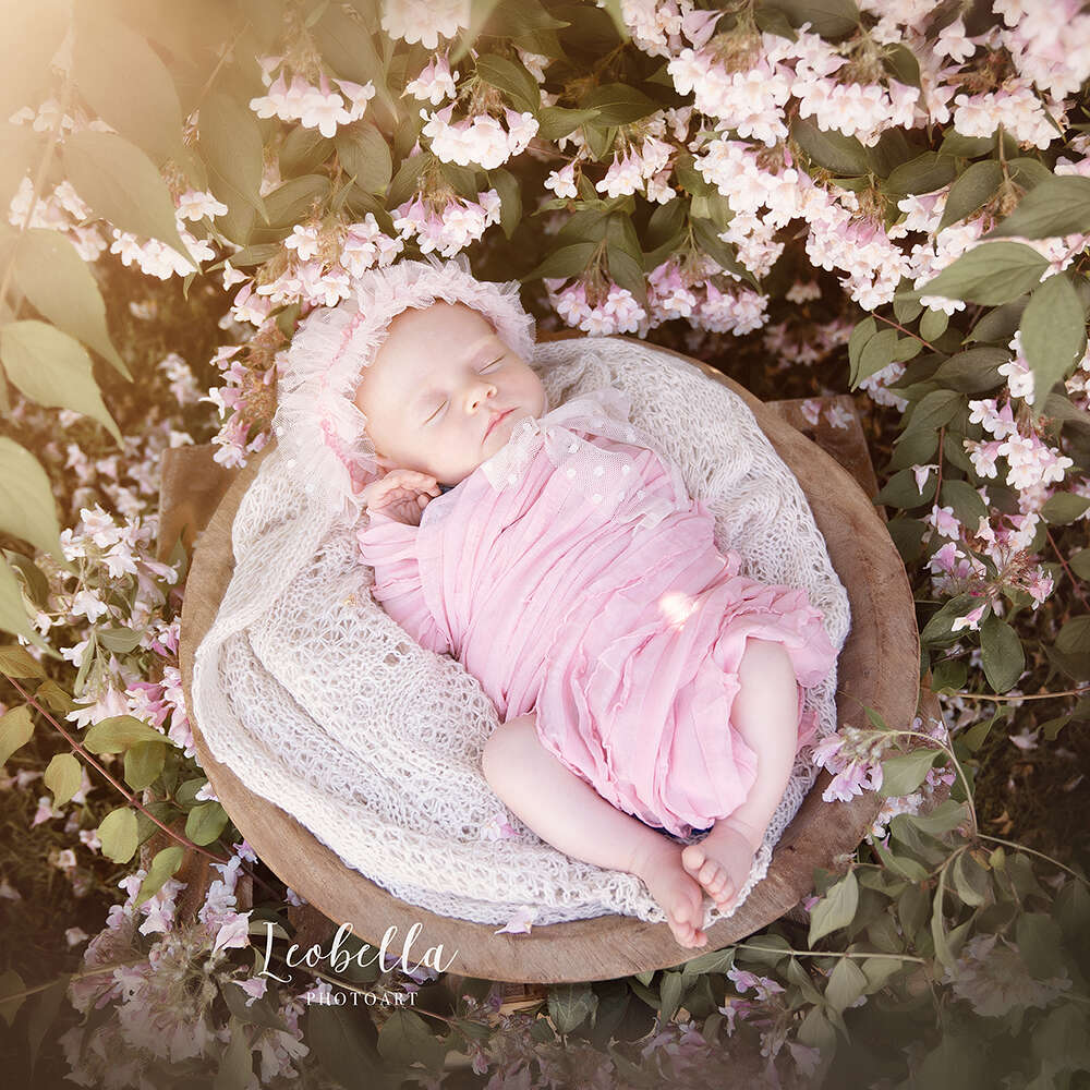 Blütentraum (Leobella Photoart)