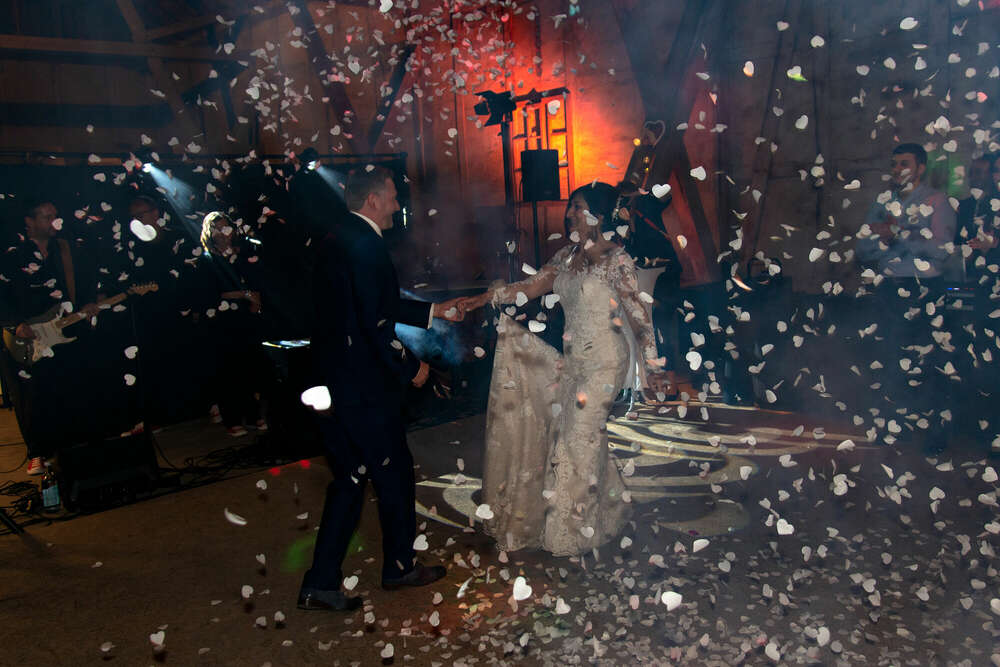 Black Kiwi Fotografie