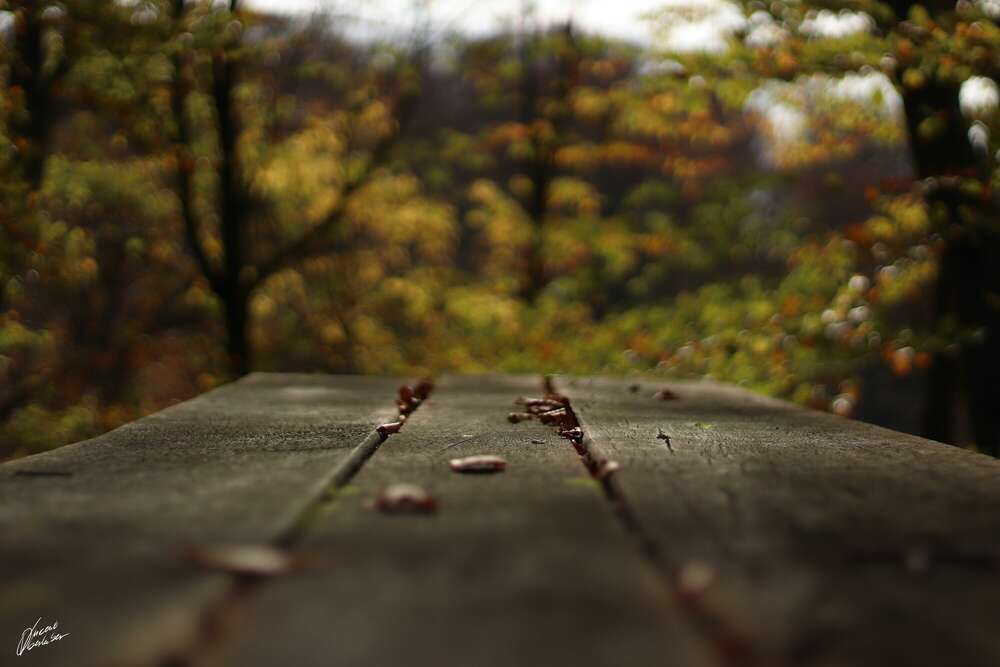 LANDSCHAFTSFOTOGRAFIE (VOTOGRAPHY - Vincent Oberhuber Fotografie)