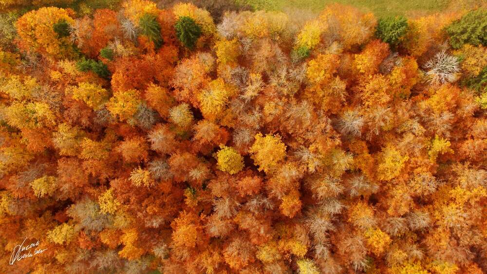 LUFTAUFNAHMEN (VOTOGRAPHY - Vincent Oberhuber Fotografie)