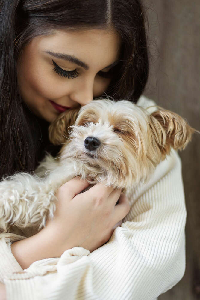 Tier- und Portraitfotografie Hanna Hohnholz (Tier- und Portraitfotografie Hanna Hohnholz)