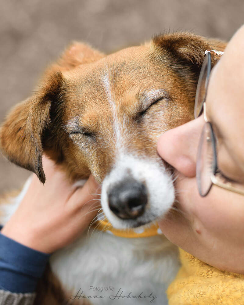 Tier- und Portraitfotografie Hanna Hohnholz (Tier- und Portraitfotografie Hanna Hohnholz)